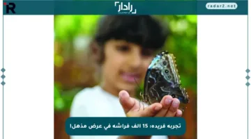 تجربة فريدة: 15 ألف فراشة في عرض مذهل!